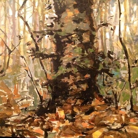 "moss covered trunk" 10x10